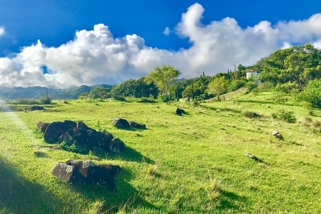 kalaheo bg01 Kauai Region Hawaii Health Systems Corporation